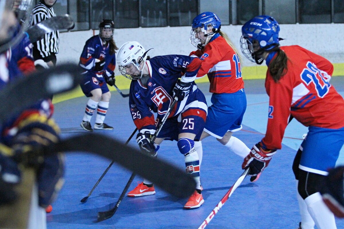 Hokejbal